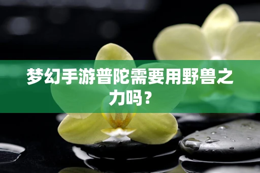 梦幻手游普陀需要用野兽之力吗？