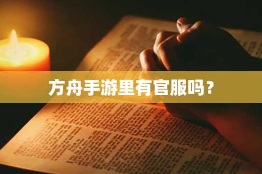 方舟手游里有官服吗？