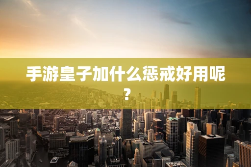 手游皇子加什么惩戒好用呢？