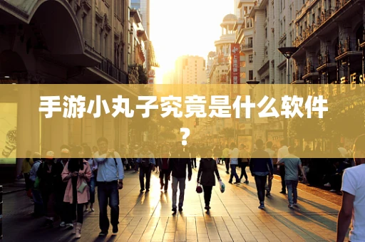 手游小丸子究竟是什么软件？