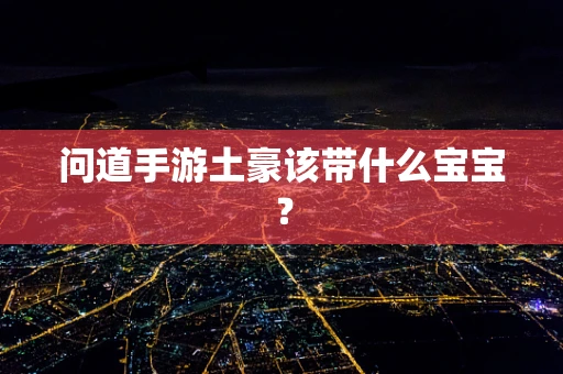 问道手游土豪该带什么宝宝？
