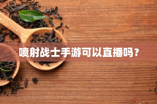 喷射战士手游可以直播吗？
