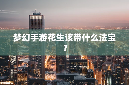 梦幻手游花生该带什么法宝？