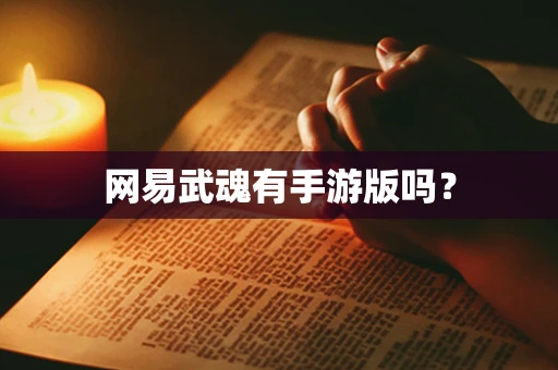 网易武魂有手游版吗？
