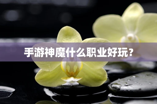 手游神魔什么职业好玩？