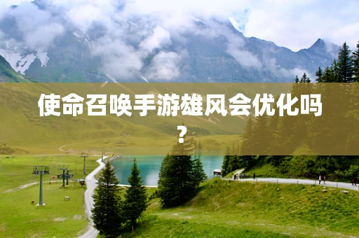 使命召唤手游雄风会优化吗？