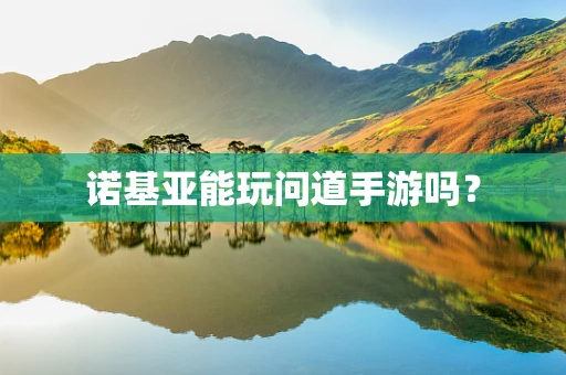 诺基亚能玩问道手游吗？