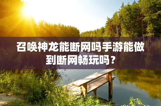 召唤神龙能断网吗手游能做到断网畅玩吗？
