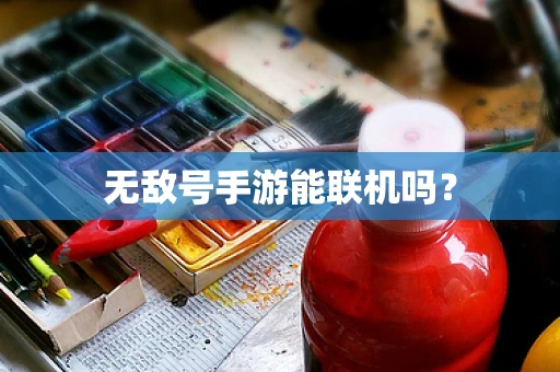 无敌号手游能联机吗？