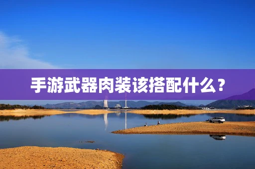 手游武器肉装该搭配什么？