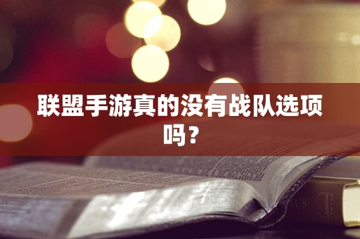 联盟手游真的没有战队选项吗？