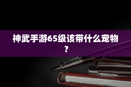 神武手游65级该带什么宠物？