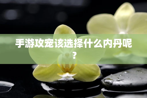 手游攻宠该选择什么内丹呢？