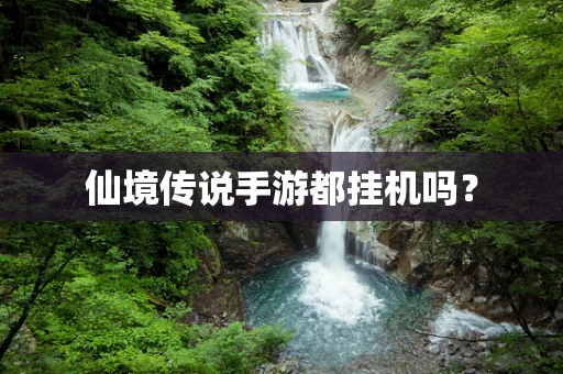 仙境传说手游都挂机吗？