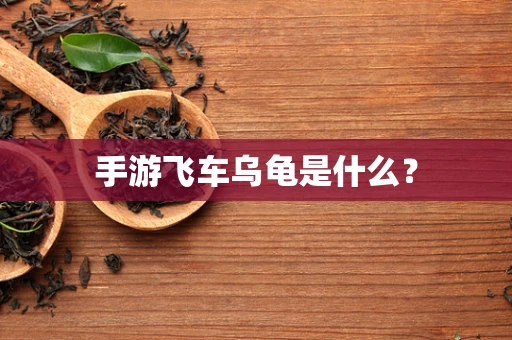 手游飞车乌龟是什么？
