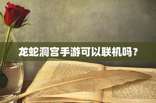龙蛇洞宫手游可以联机吗？