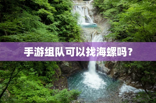 手游组队可以找海螺吗？