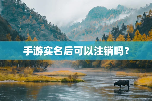 手游实名后可以注销吗？