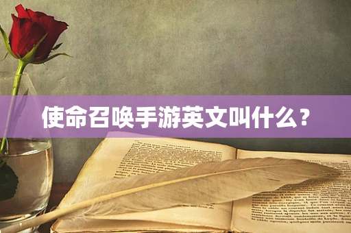 使命召唤手游英文叫什么？