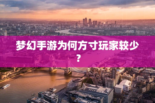 梦幻手游为何方寸玩家较少？