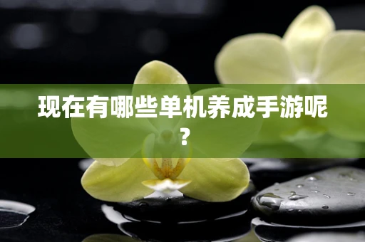 现在有哪些单机养成手游呢？