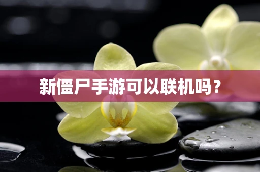 新僵尸手游可以联机吗？