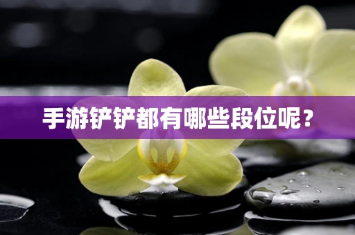手游铲铲都有哪些段位呢？