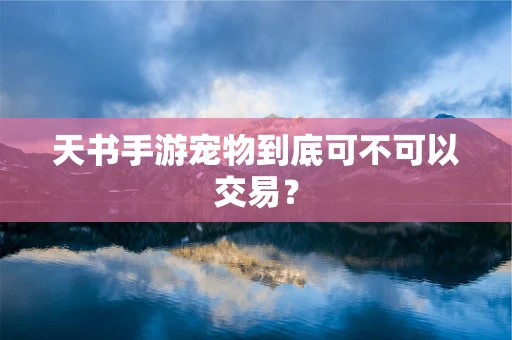 天书手游宠物到底可不可以交易？