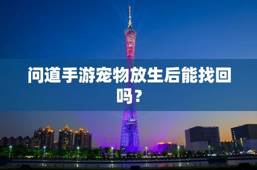 问道手游宠物放生后能找回吗？