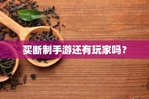 买断制手游还有玩家吗？