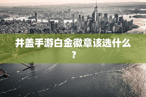 井盖手游白金徽章该选什么？