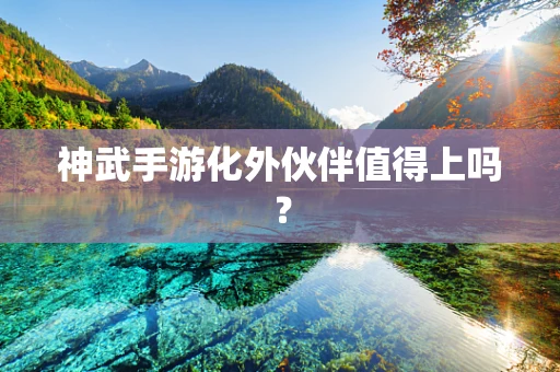 神武手游化外伙伴值得上吗？