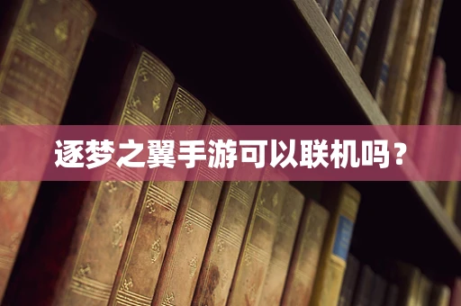 逐梦之翼手游可以联机吗？