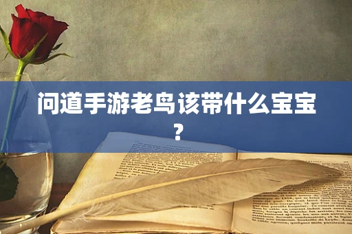 问道手游老鸟该带什么宝宝？