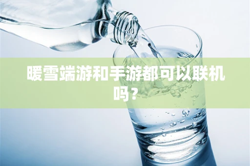 暖雪端游和手游都可以联机吗？