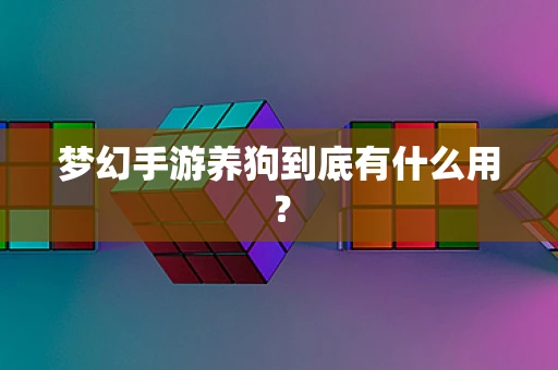 梦幻手游养狗到底有什么用？