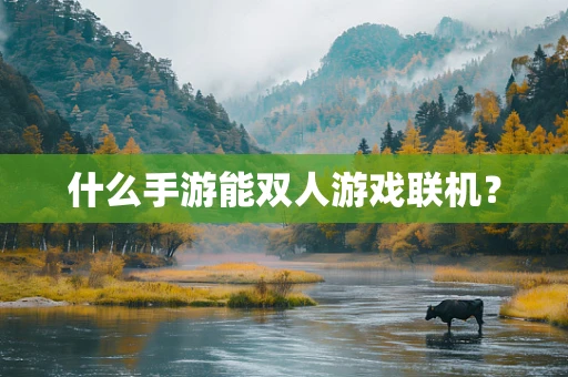 什么手游能双人游戏联机？