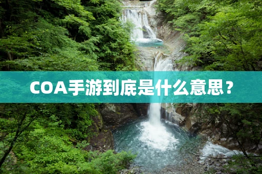 COA手游到底是什么意思？
