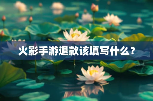 火影手游退款该填写什么？