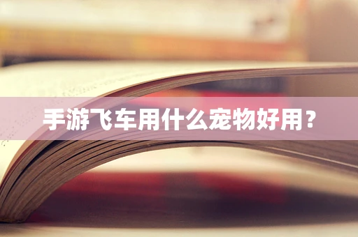 手游飞车用什么宠物好用？