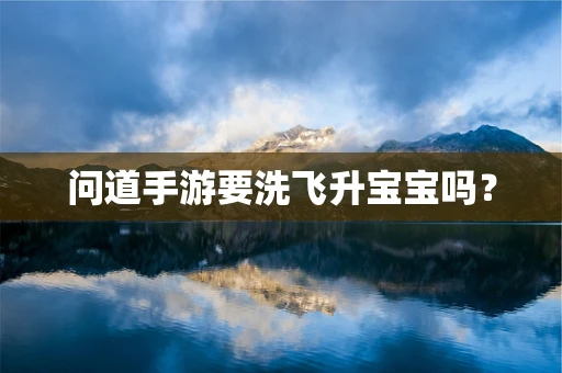 问道手游要洗飞升宝宝吗？