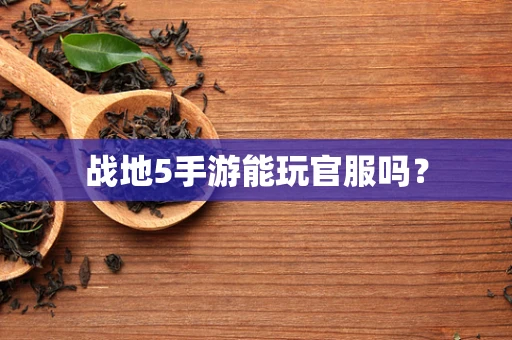 战地5手游能玩官服吗？