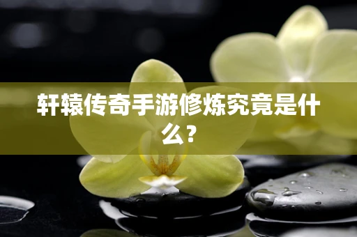 轩辕传奇手游修炼究竟是什么？