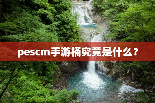 pescm手游桶究竟是什么？