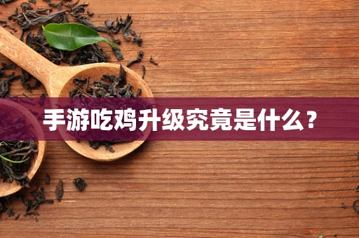 手游吃鸡升级究竟是什么？