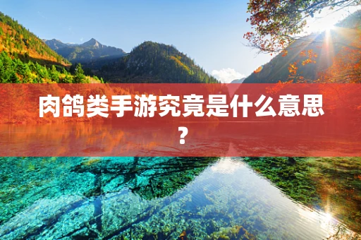 肉鸽类手游究竟是什么意思？