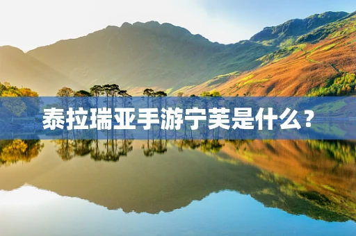 泰拉瑞亚手游宁芙是什么？