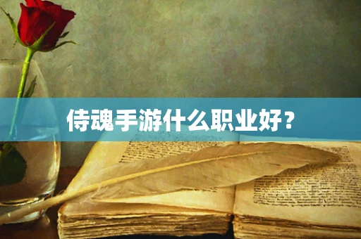 侍魂手游什么职业好？