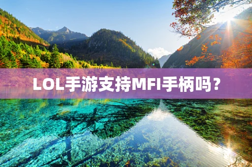 LOL手游支持MFI手柄吗？