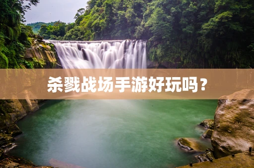 杀戮战场手游好玩吗？